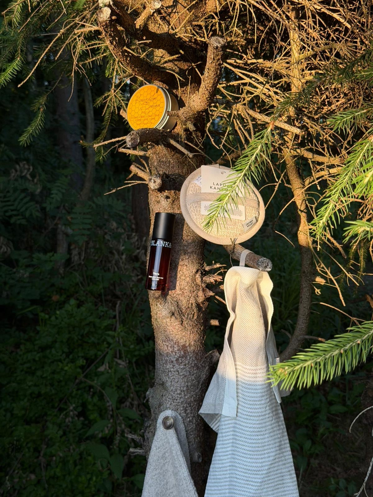 Nordic Glow Ritual